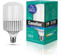 Светодиодная лампа Camelion LED75-HW/865/E40 75Вт 220В 13472