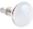 Лампа накаливания Camelion MIC 40/R50/FR/E14 зеркальная матовая 12658 3