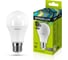 Электрическая светодиодная лампа Ergolux LED-A60-10W-E27-6K ЛОН 10Вт E27 6500K 172-265В 12879 1