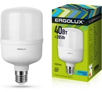 Электрическая светодиодная лампа Ergolux LED-HW-40W-E27-4K 40Вт E27 4500К 172-265В 13554