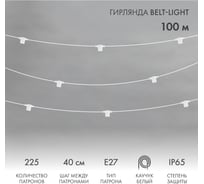 Белт-лайт Neon-Night Belt-light 2 жилы шаг 40 см патроны под винт e27 влагостойкая ip65 331-232