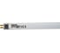 Люминесцентная лампа PHILIPS MASTER TL5 HO 54W/840 SLV/40 54Вт T5 4000К G5 75840 2