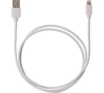 Дата-кабель TDM ELECTRIC ДК 6, USB - Lightning, 1 м, белый, SQ1810-0306