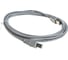 Кабель Gembird USB 2.0, AM/BM, 3.0м, пакет CC-USB2-AMBM-10 2