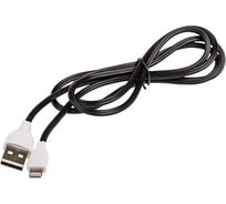Кабель SKYWAY USB - Lightning 3.0А 1м черный в пакете S09601001