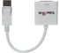Кабель-переходник Telecom DisplayPort - DVI-F 0,2m TA557 1