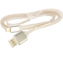 Кабель Cablexpert USB 2.0 AM/Lightning 8P, 1м, мультиразъем USB A, серебристый металлик CC-ApUSBs1m