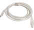 Кабель Cablexpert USB 2.0 Pro AM/BM 2м, экран прозрачный CCF-USB2-AMBM-TR-2M 3
