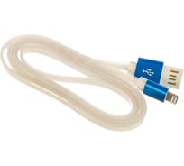 Кабель Cablexpert USB 2.0 AM/Lightning 8P, 1 м, мультиразъем USB A, синий, металлик, CC-ApUSBb1m