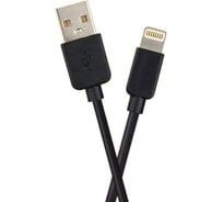 Кабель Perfeo USB A вилка - Lightning вилка, черн., 2 м (I4321) 30017947