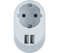 Адаптер Navigator NAD-USB01-1E-C-WH с заземлением 1гнездо USB3.4A 61454
