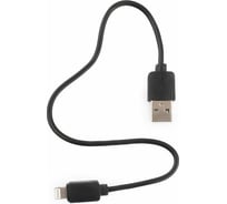 Кабель Гарнизон USB A(M) - Lightning, 0.3м, черный GCC-USB2-AP2-0.3M