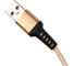 Кабель GoPower GP02T USB (m)-Type-C (m) 1.0м 2.4A нейлон золотой 00-00022793 2