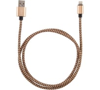Кабель USB/Lightning Energy ET-02 цвет - золотой 006374