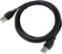 Кабель Cablexpert USB2.0 AM/AM, экран, 28/26AWG, медь, Pro, 3м, черный, пакет, CC-USB2-AMAM-3M 1
