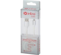 Кабель Intro CI195 25 USB-Apple 8pin lightning, leather,1,2м, белый 100/200/2400 Б0035667