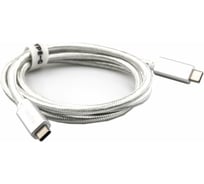 Кабель Telecom, USB 3.1 Type Cm -- Cm IC 5А 10Gbs длина 1M, TC420S серебряный TC420S