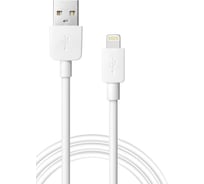USB-кабель DEFENDER ACH02-01L AM-Lightning, белый, 1m, пакет 87496