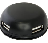Универсальный USB-разветвитель DEFENDER Quadro Light USB 2.0, 4 порта 83201