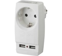 Разветвитель электрический ЭРА SP1eUSBI на 1 розетку 2 USB с заземлением 16А сл. кость Б0027836
