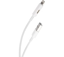 Дата-кабель Red Line USB – 8 - pin с переходником на наушники с разъемом 8 - pin, белый УТ000016930
