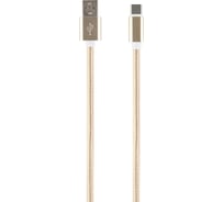 Дата-кабель Red Line USB - Type-C 2 метра нейлоновая оплетка, золотой УТ000014158