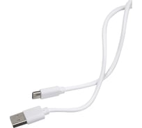 Зарядный кабель Red Line USB - Type-C, белый УТ000021772