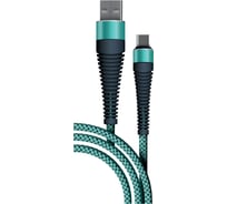 Дата-кабель BoraSCO Fishbone USB - Type-C, 3А, 1м, тиффани 38506