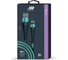 Дата-кабель BoraSCO Fishbone USB - Type-C, 3А, 1м, тиффани 38506 2