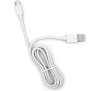 USB-кабель AM-Type-C BYZ 1 метр, 2.1А, силикон, белый, 23750-BL-645W