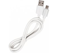 Дата-кабель SMARTBUY USB 2.0 - USB TYPE C, белый, длина 1 м iK-3112 white