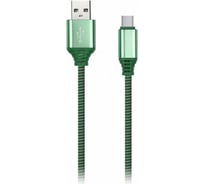 Дата-кабель SMARTBUY Type C кабель в нейлоновой оплетке Socks 1 м, 2А, зеленый iK-3112NS green
