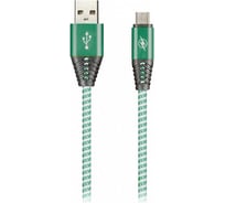 Дата-кабель SMARTBUY Type C HEDGEHOG зеленый 2 А, 1 м iK-3112HH green