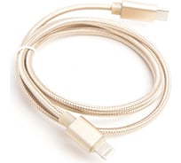 Шнур Atom Evolution USB Type-C 3.1 - Lightning, 1 м, штекер/штекер, золотой, 31014