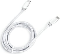 Шнур Atom Evolution USB Type-C 3.1 - USB Type-C 3.1, 1 м, штекер/штекер, серебряный, 31028
