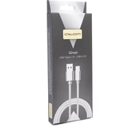 Шнур Atom Evolution USB Type-C 3.1 - USB А 3.0, 1 м, штекер/штекер, серебряный 31022