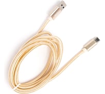 Шнур Atom Evolution USB Type-C 3.1 - USB А 3.0, 1,8 м, штекер/штекер, золотой, 31023