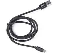 Шнур Atom Evolution USB Type-C 3.1 - USB А 3.0, 1 м, штекер/штекер, черный, 31021