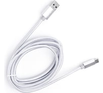 Шнур Atom Evolution USB Type-C 3.1 - USB А 3.0, 1,8 м, штекер/штекер, серебряный, 31025