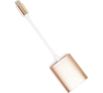 Переходник Atom Evolution USB Type-C 3.1 - Micro SD/TF, 0,15 м, штекер/гнездо, золотой, 31050