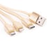 Шнур Atom Evolution USB A 2.0-USB Type-C,USB B micro,Lightning, 0,2 м, штекер/штекер, золотой, 31038 2