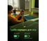 Кабель UGREEN USB-C на USB-C версия Genshin Impact 2.0 Male 5A Data Cable 1M - Green 45063GI 5