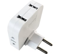 Сетевой разветвитель Спутник 10А 2 гнезда-розетки + 2 USB SRP204USB