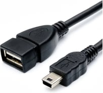 Переходник Pro Legend USB-М5Р (mini B 5Pin штекер - А гнездо) 0.3м PL2363