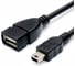 Переходник Pro Legend USB-М5Р (mini B 5Pin штекер - А гнездо) 0.3м PL2363 1