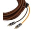 Кабель межблочный DL AUDIO Gryphon Pro RCA 5M 2
