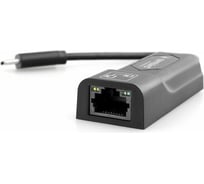 Сетевой адаптер Gembird Ethernet Type-C - Fast Ethernet adapter, NIC-U6