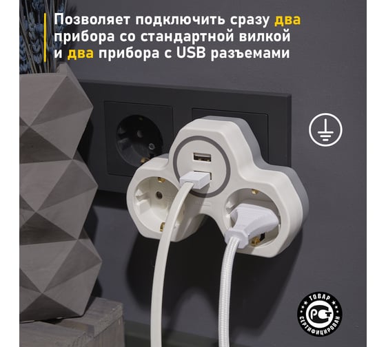 Электрический двойник REXANT с 2 USB портами 2,4А с заземлением 16А белый 11-1089