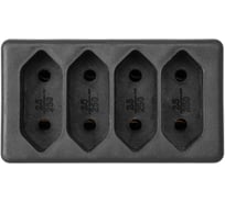 Блок на 4 гнезда TDM ELECTRIC 2П 2,5 А, 250 B, под плоскую вилку, черный SQ1806-0303