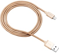 Кабель Canyon MFI-3 Lightning-USB 2.0 MFI 1 м, Gold CNS-MFIC3GO